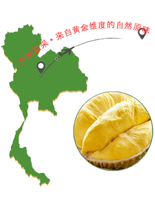 东莞市顺泰源商贸有限公司