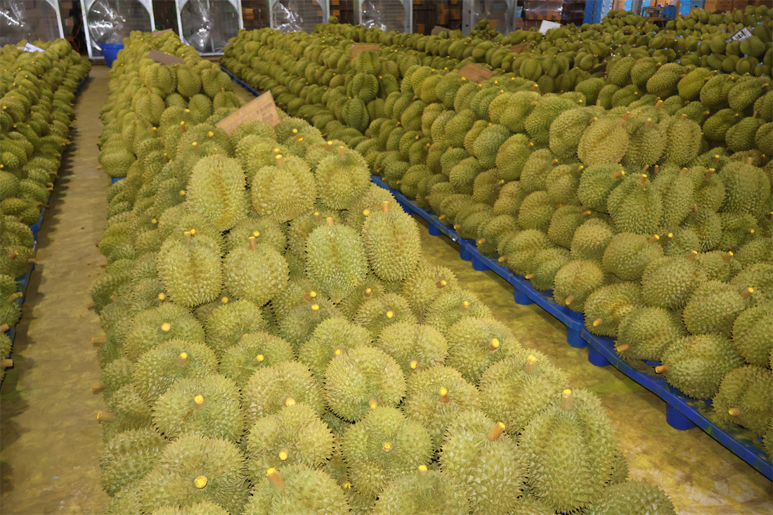 摆板风干15
