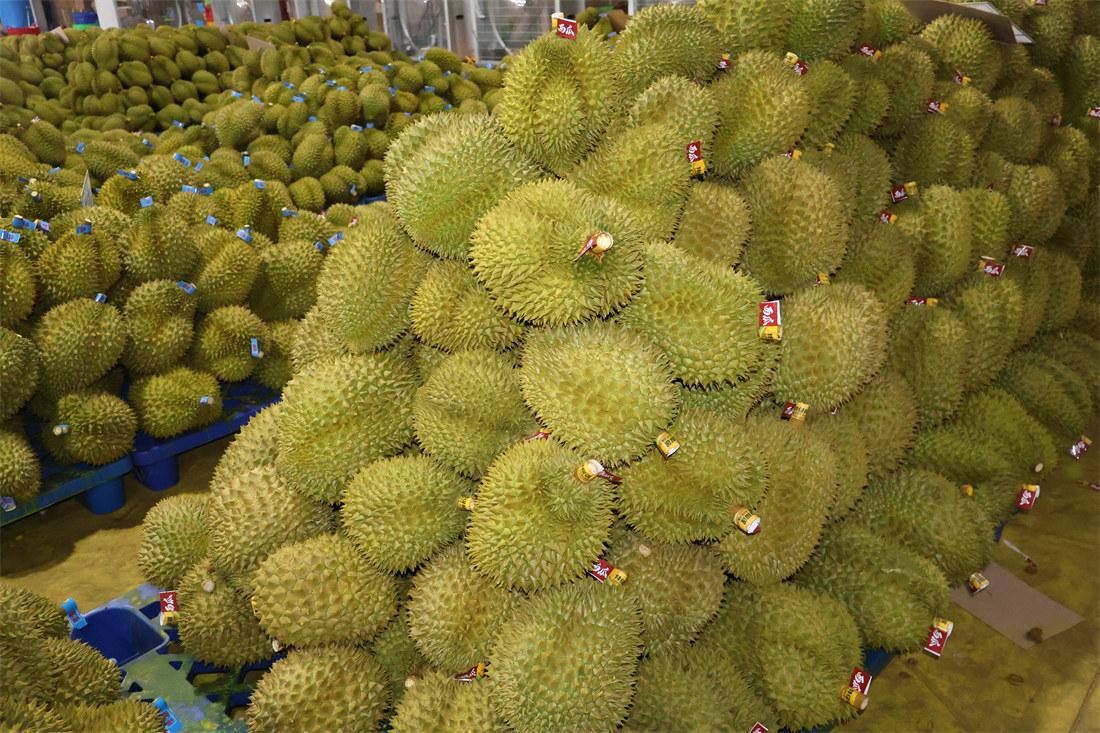 摆板风干11