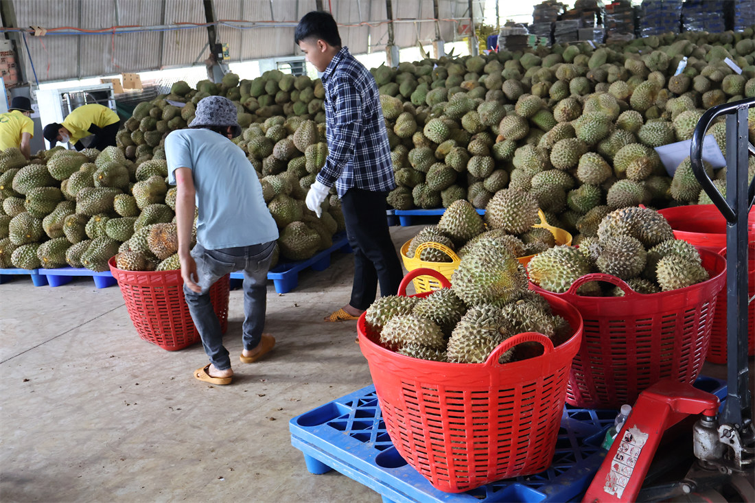 送车间加工4