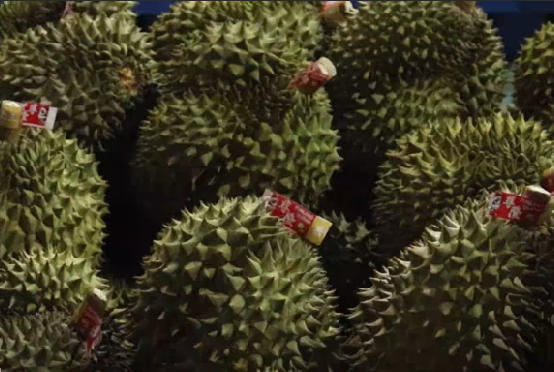 越南福安分公司