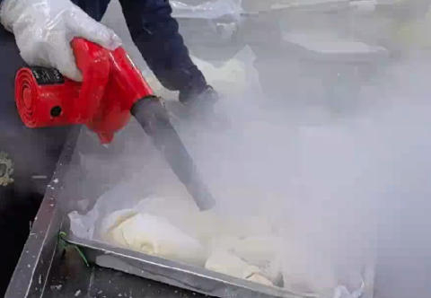 果肉液氮急冻2